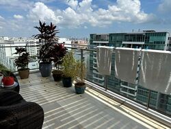 the-minton photo thumbnail #4